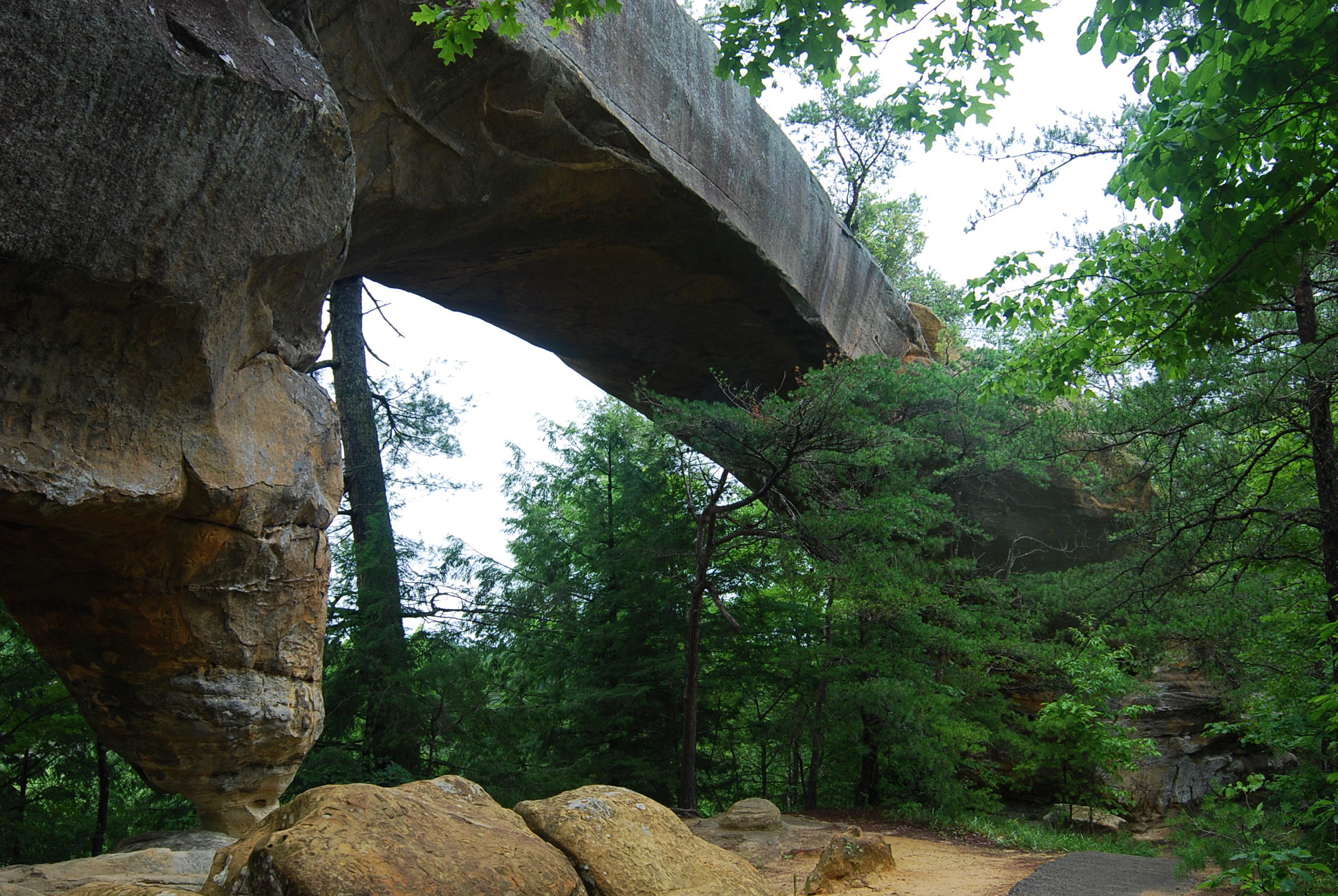 Torrent to Beattyville, KY...via the bush!