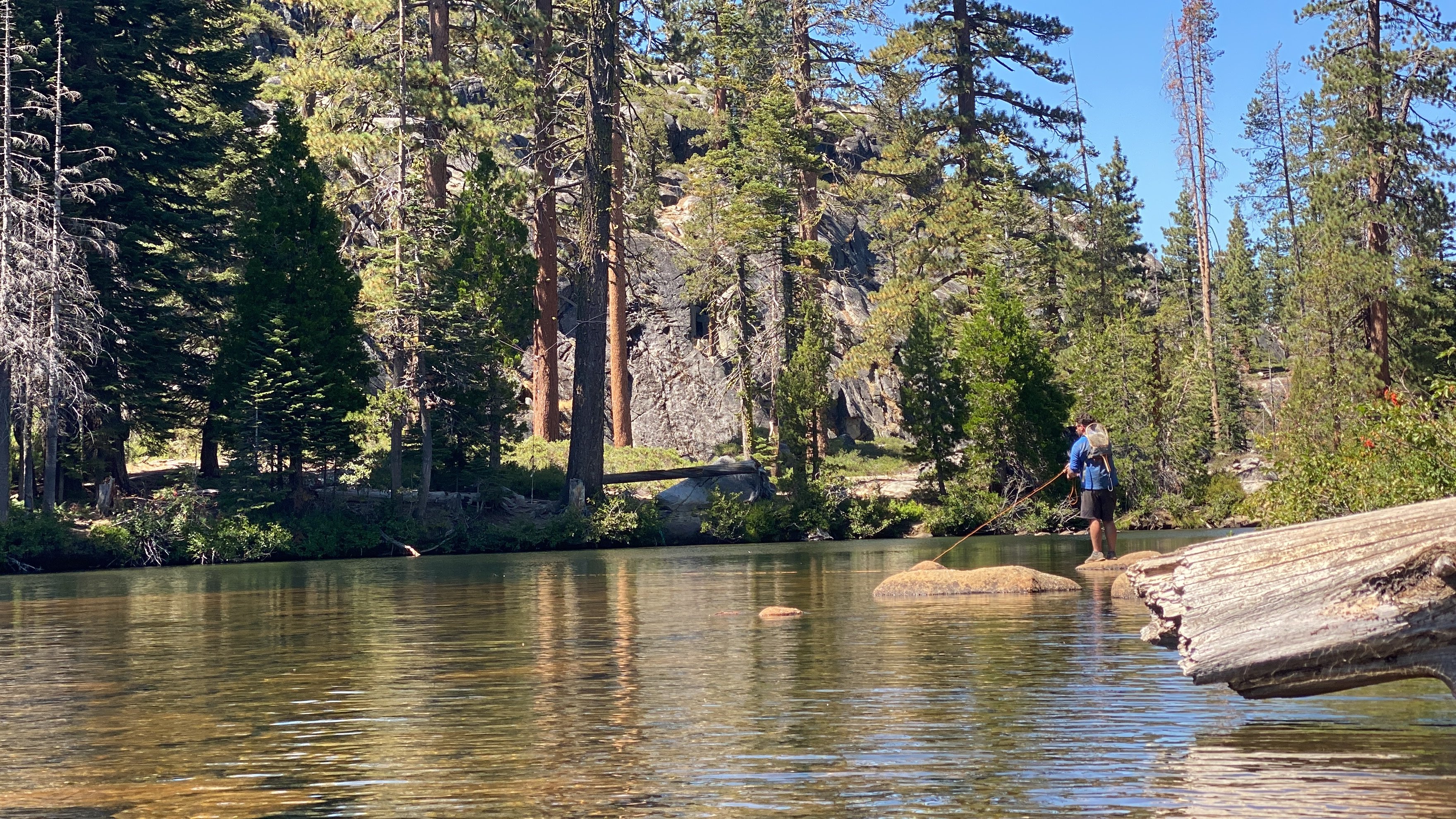 Photo Aug 27 2024, 1 38 57 PM.jpg