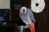 IMG_4717.jpg
