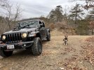 IMG_6510.jpeg