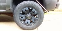 IMG_20250920_111316.jpg