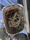 IMG_7594.jpeg