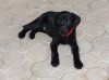 DSC01012.jpg