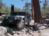 Miller Jeep Trail.jpg