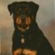 ncalphadog